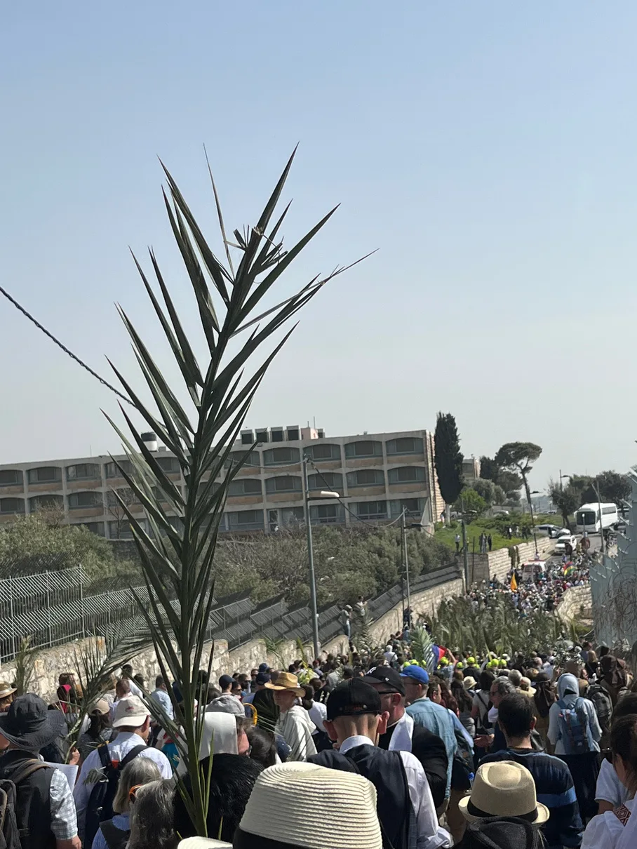 Gathering for Palm Sunday